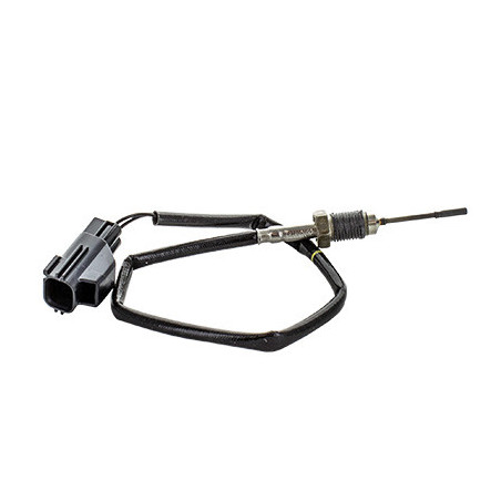 Palpeur (température des...