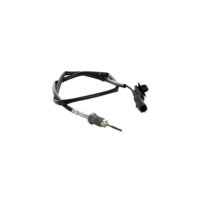 Palpeur (température des gaz) FISPA