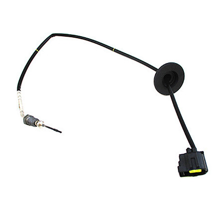 Palpeur (température des...