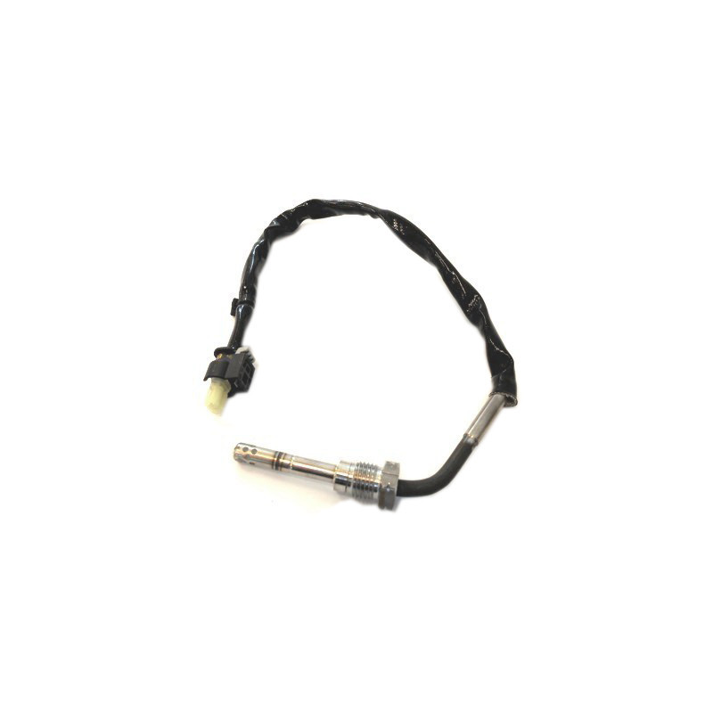 Palpeur (température des gaz) FISPA