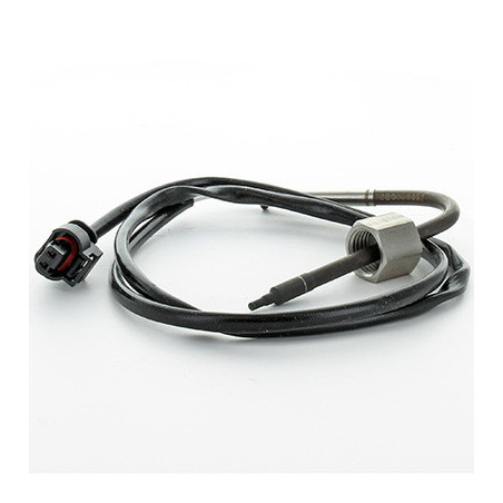 Palpeur (température des...