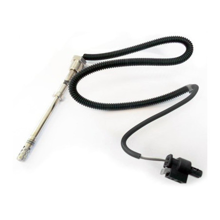 Palpeur (température des...