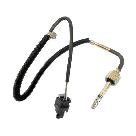 Palpeur (température des...