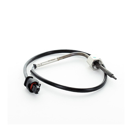 Palpeur (température des...