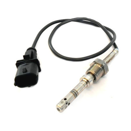 Palpeur (température des...