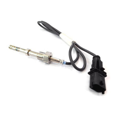 Palpeur (température des...