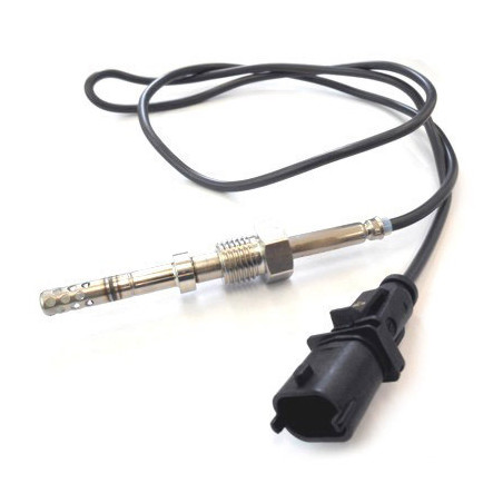 Palpeur (température des...