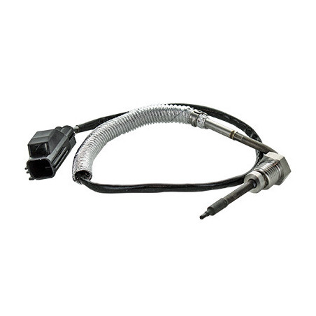 Palpeur (température des...