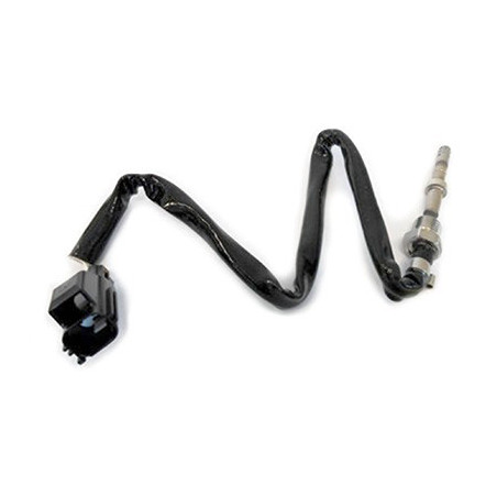 Palpeur (température des...