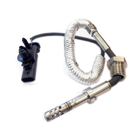 Palpeur (température des...