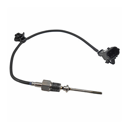 Palpeur (température des...