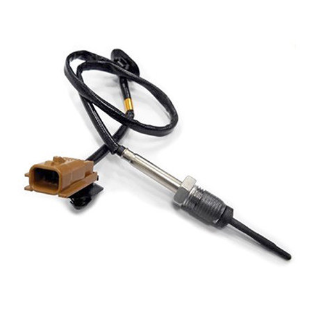 Palpeur (température des...