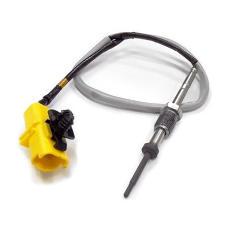 Palpeur (température des...