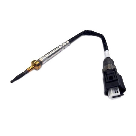 Palpeur (température des...