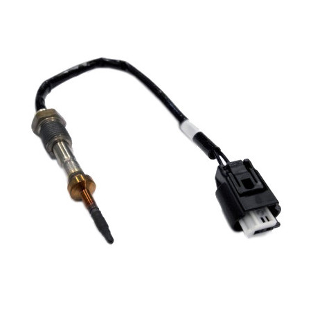 Palpeur (température des...