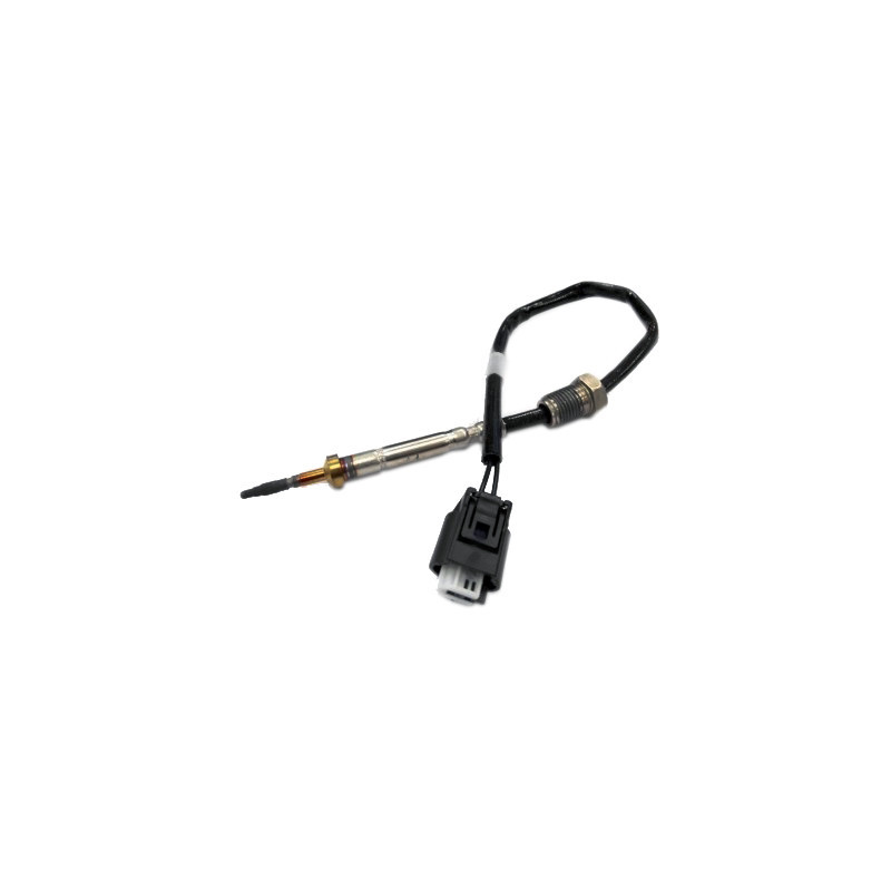 Palpeur (température des gaz) FISPA