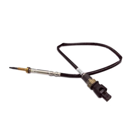 Palpeur (température des...