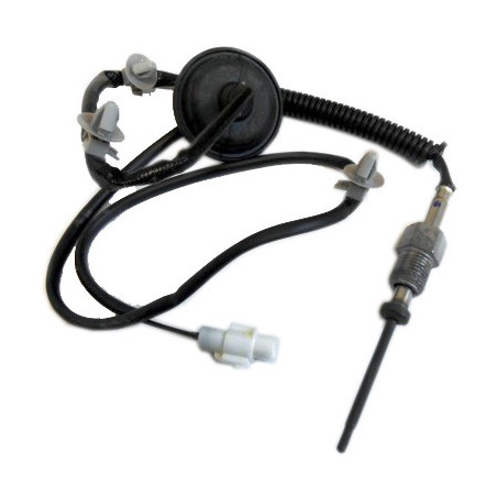 Palpeur (température des...