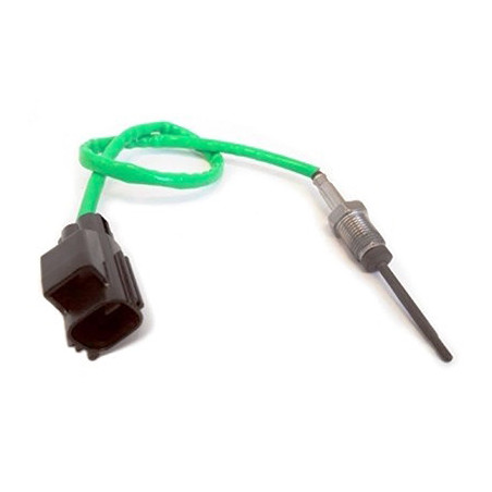 Palpeur (température des...