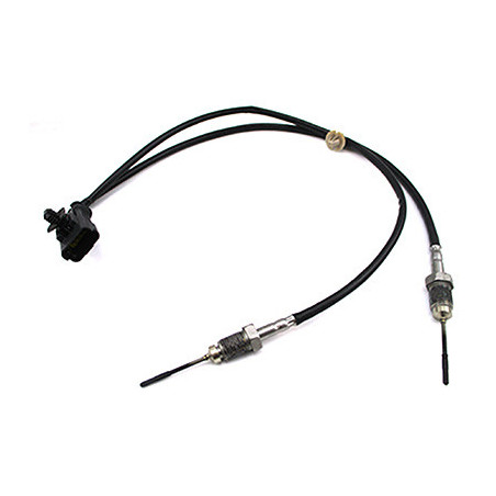 Palpeur (température des...