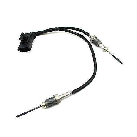 Palpeur (température des...