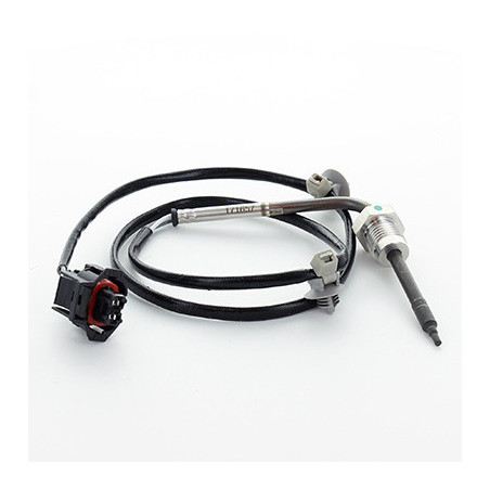 Palpeur (température des...