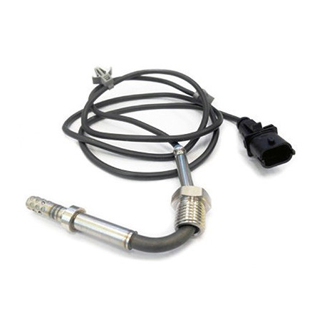 Palpeur (température des...