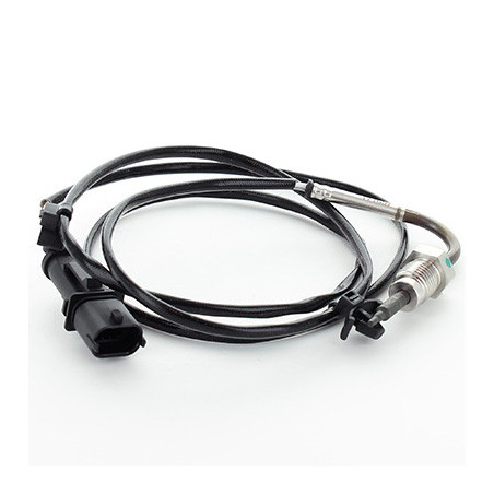 Palpeur (température des...