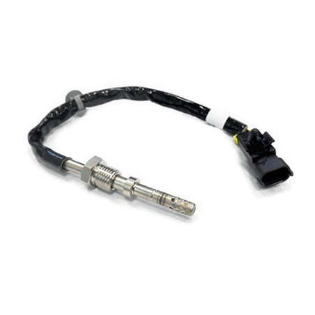 Palpeur (température des...