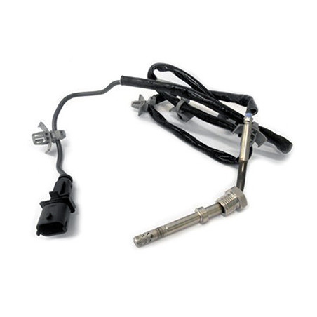 Palpeur (température des...