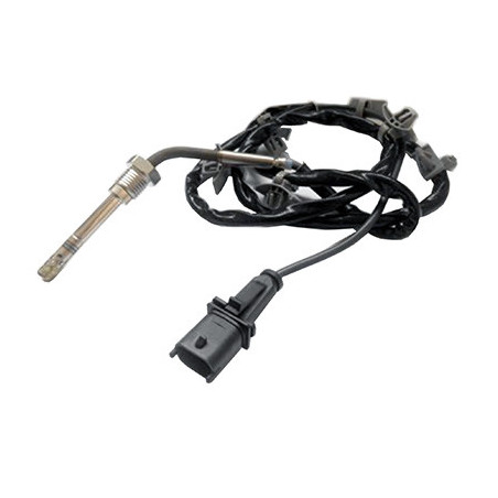 Palpeur (température des...