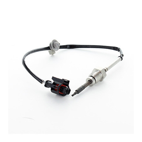 Palpeur (température des...