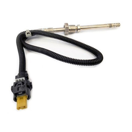 Palpeur (température des...