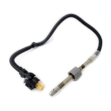 Palpeur (température des...