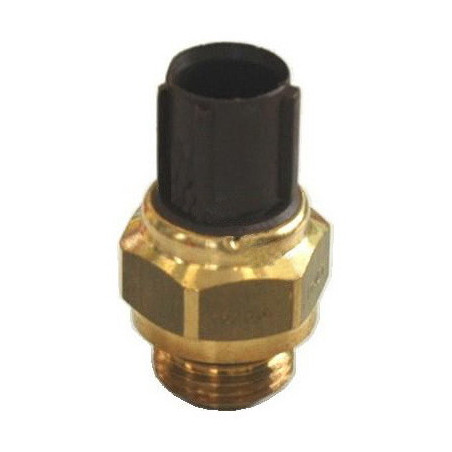 Interrupteur de température...