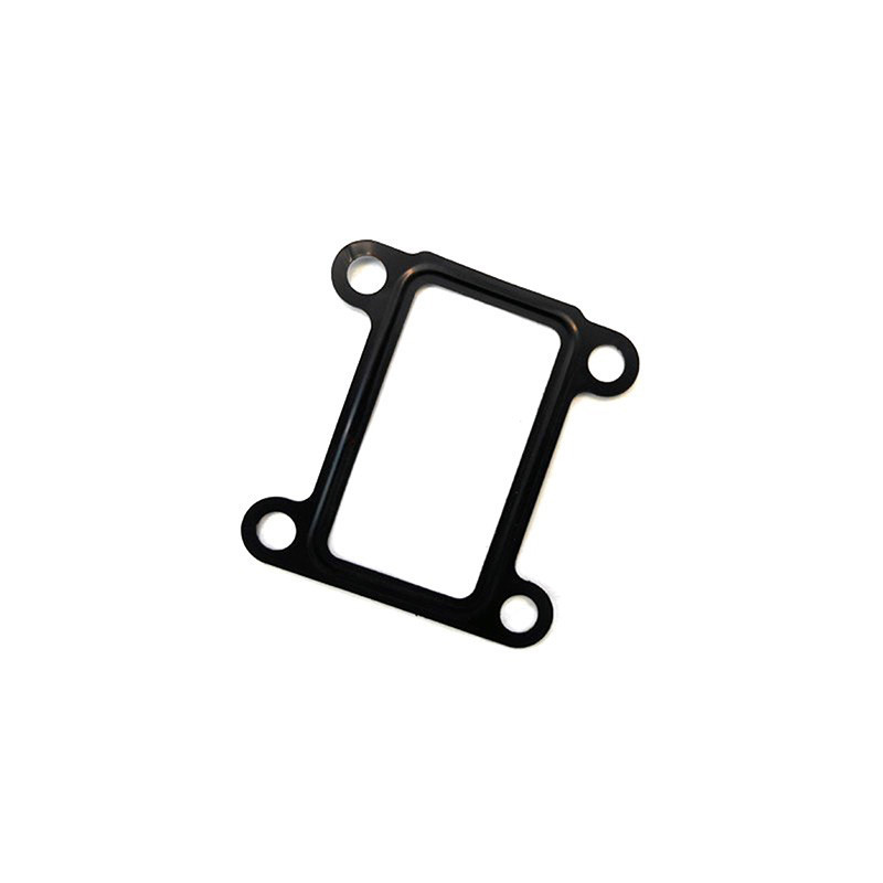 Joint (vanne EGR / AGR) FISPA