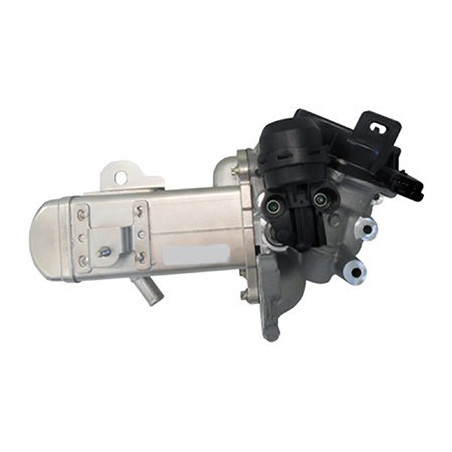 Vanne EGR / AGR FISPA