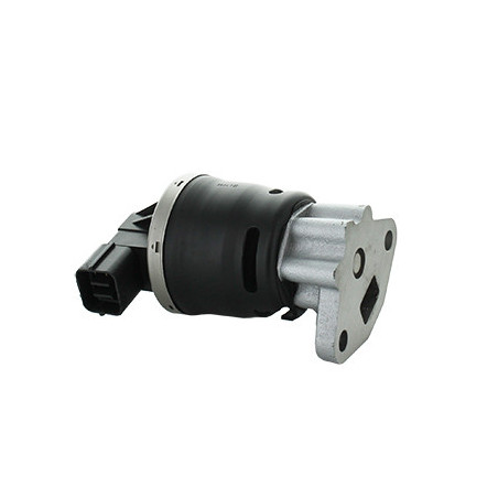 Vanne EGR / AGR FISPA