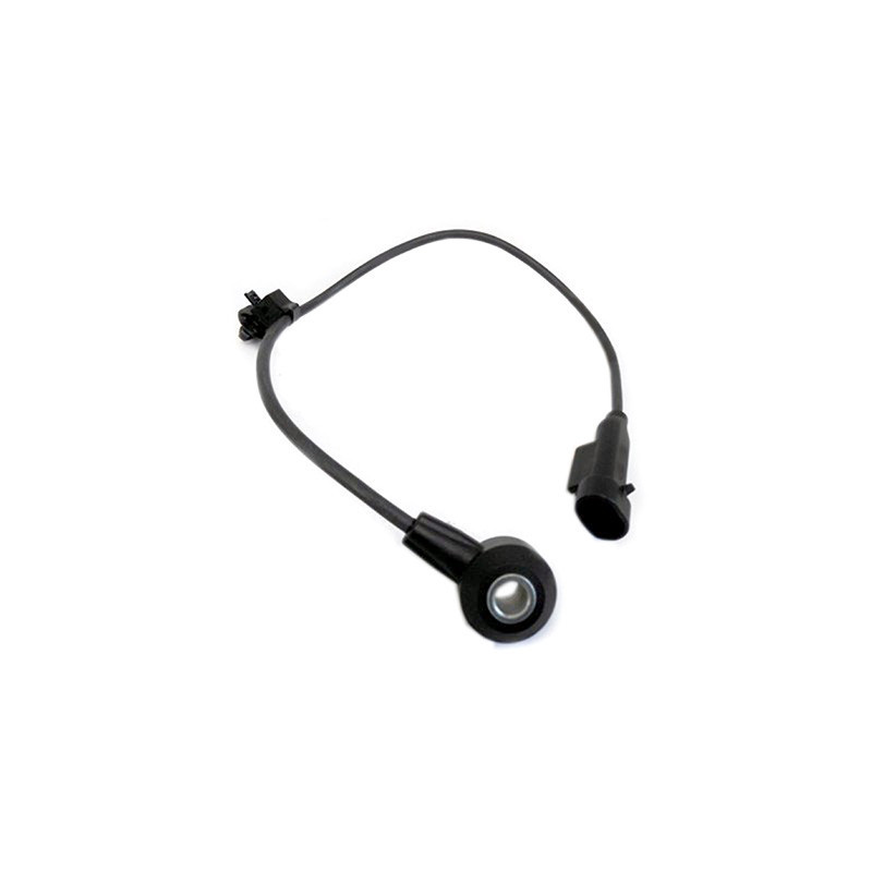 Capteur de cognement FISPA