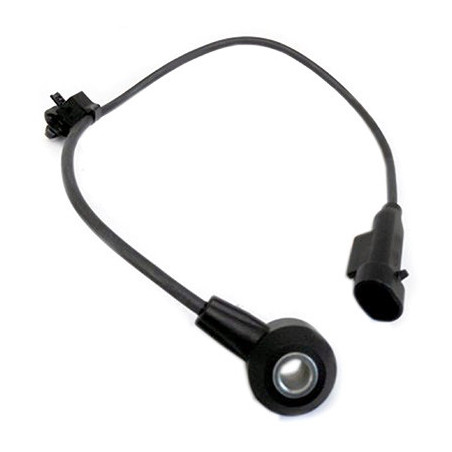 Capteur de cognement FISPA