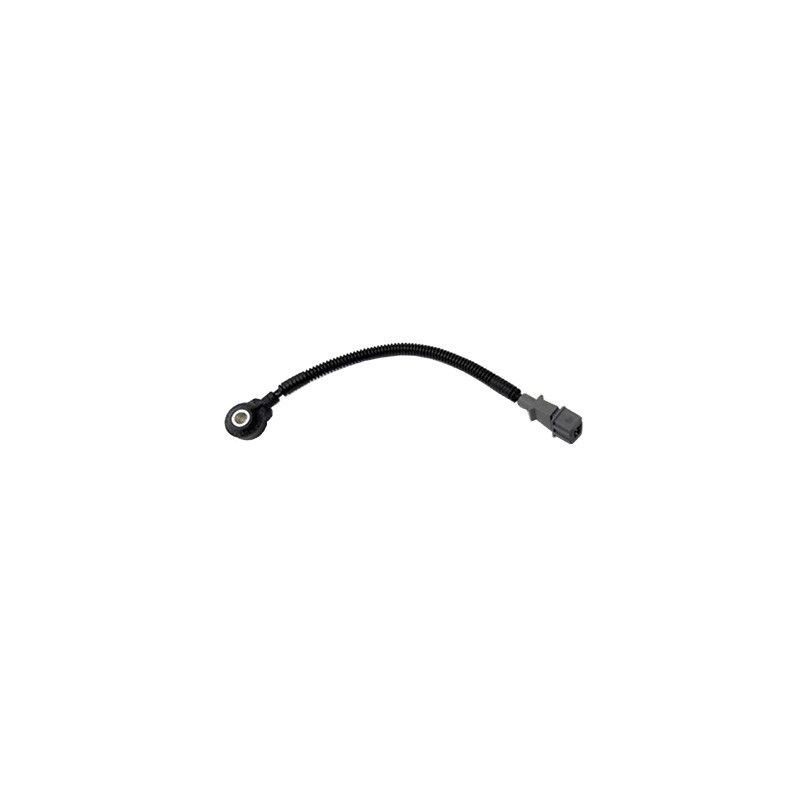 Capteur de cognement FISPA