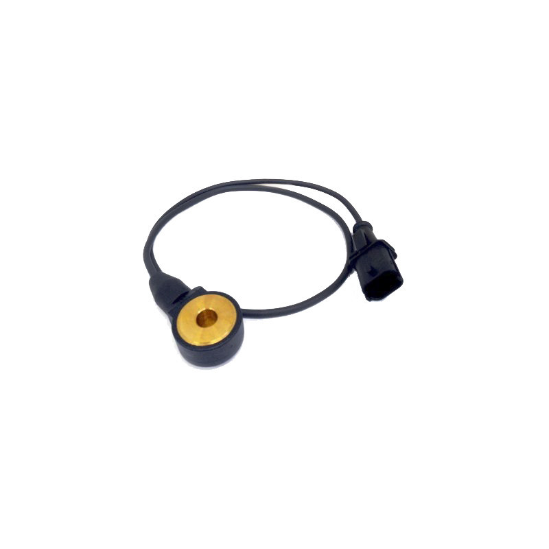 Capteur de cognement FISPA