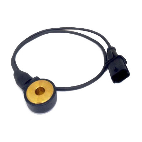 Capteur de cognement FISPA