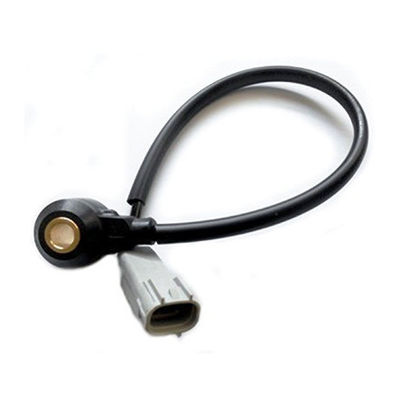 Capteur de cognement FISPA