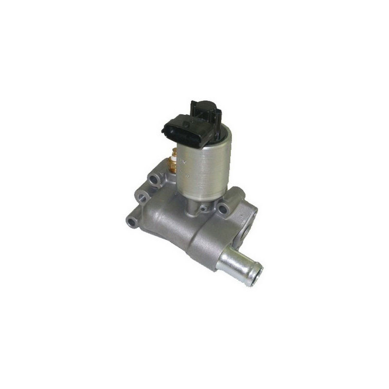 Vanne EGR / AGR FISPA