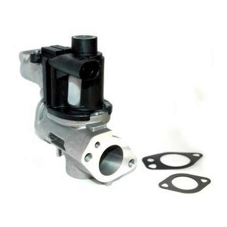 Vanne EGR / AGR FISPA