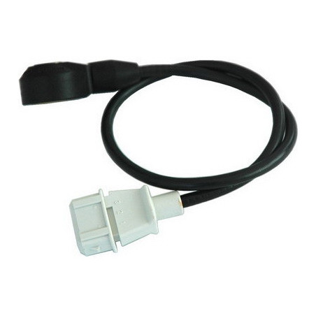 Capteur de cognement FISPA