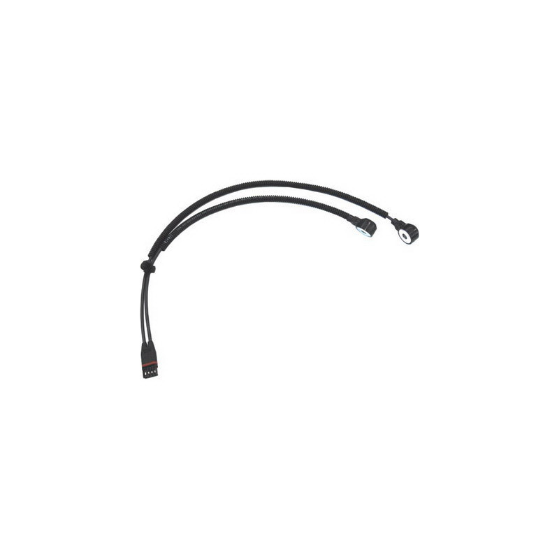 Capteur de cognement FISPA