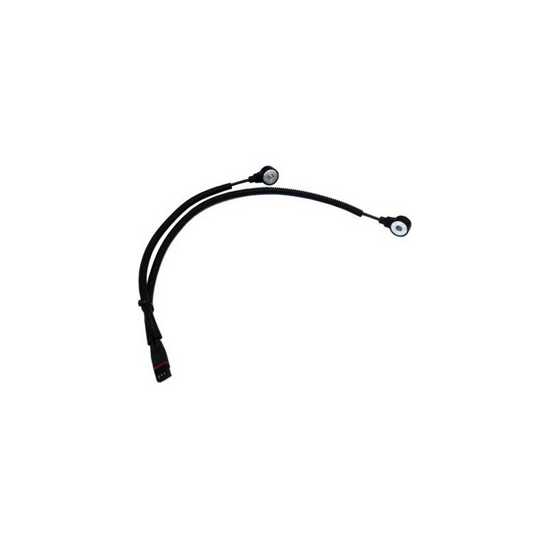 Capteur de cognement FISPA