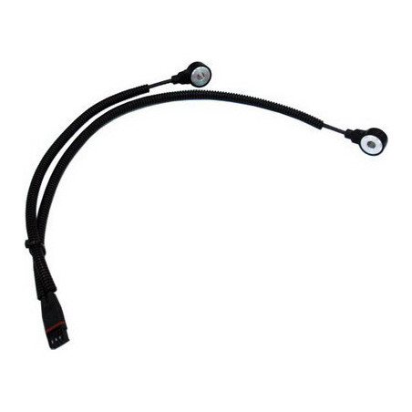 Capteur de cognement FISPA